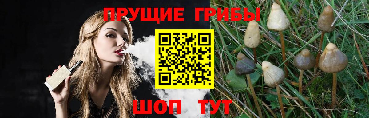Чебаркуль  Галлюциногенные грибы Magic Shrooms  Вход с VPN  Псилоцибиновые грибы Psilocybe 